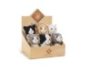 PELUCHES P&C GATTINI 20 CM ASS