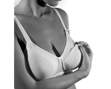 REGGISENO GIOS MAMMA 291