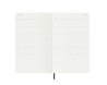 MLK 2027 12 M DAILY LG SAP.BLUE SOFT