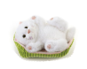 PELUCHES P&C C/CUCCIA MILKY BIANCO GATTO22 CM